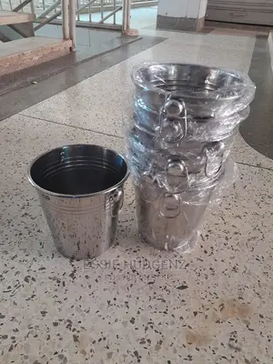 Stainless Steel Ice Buckets