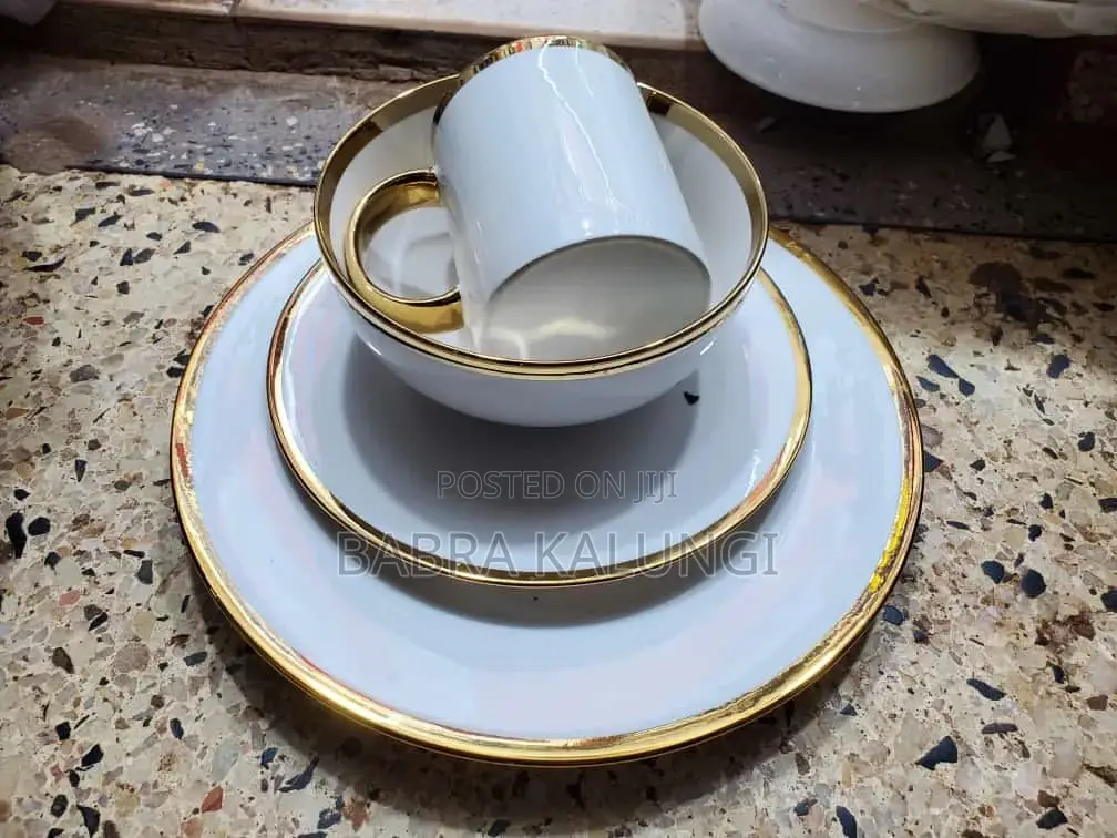 Dinner Plates 24pc