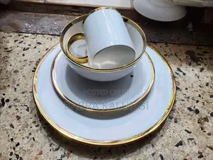 Dinner Plates 24pc