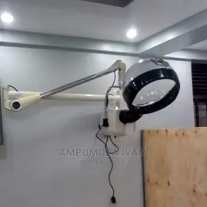 Hair Steamer