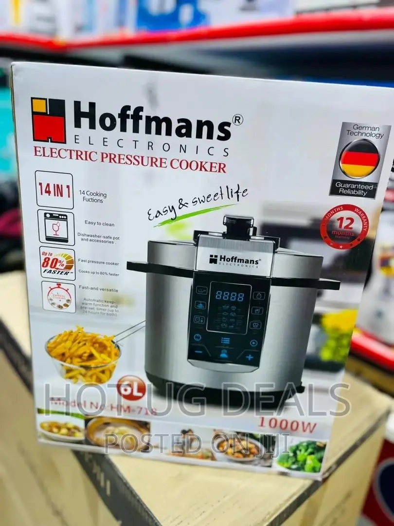 6l Electric Multifunctional Pressure Cooker- Silver