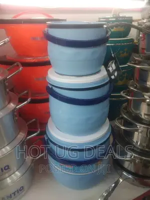 3pcs Food Warmer Dishes Thermal Insulation Hot Pots – Blue
