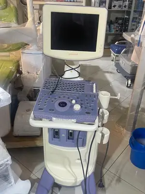 Single Probe Utrasound Scan Black and White
