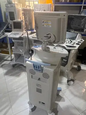 Single Probe Utrasound Scan Black and White