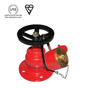 Oblique Landing Valve, Flanged Inlet