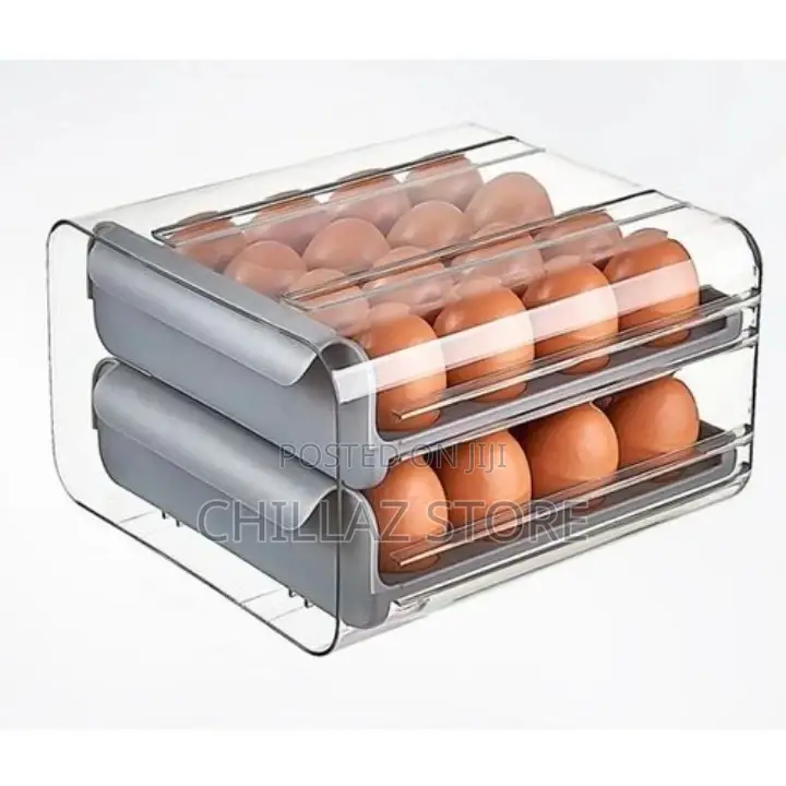 Egg Tray Double Storage Boxes.