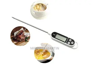 Food Thermometer