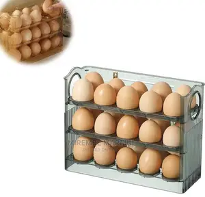 Egg Storage Box