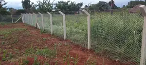 Chain Link Fence