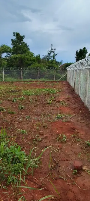 Chain Link Fence