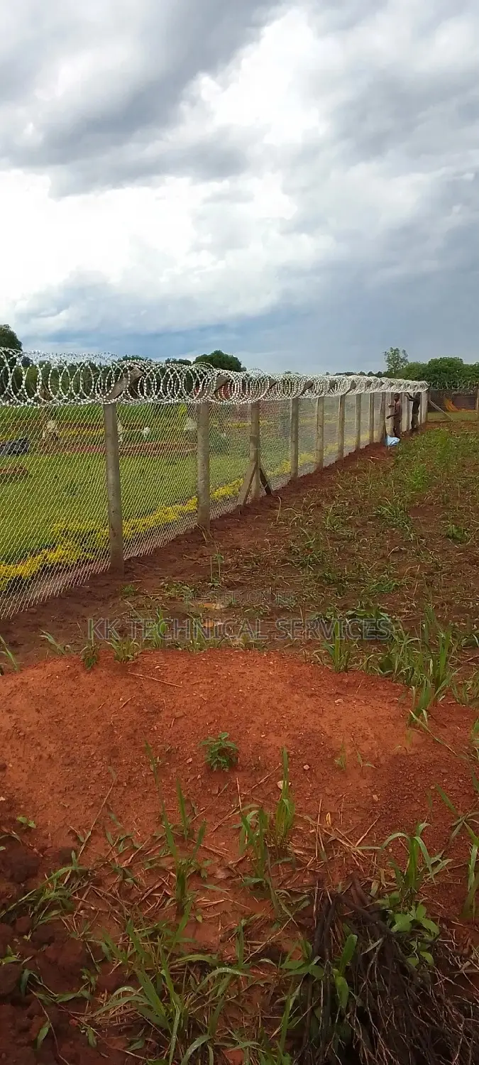 Chain Link Fence