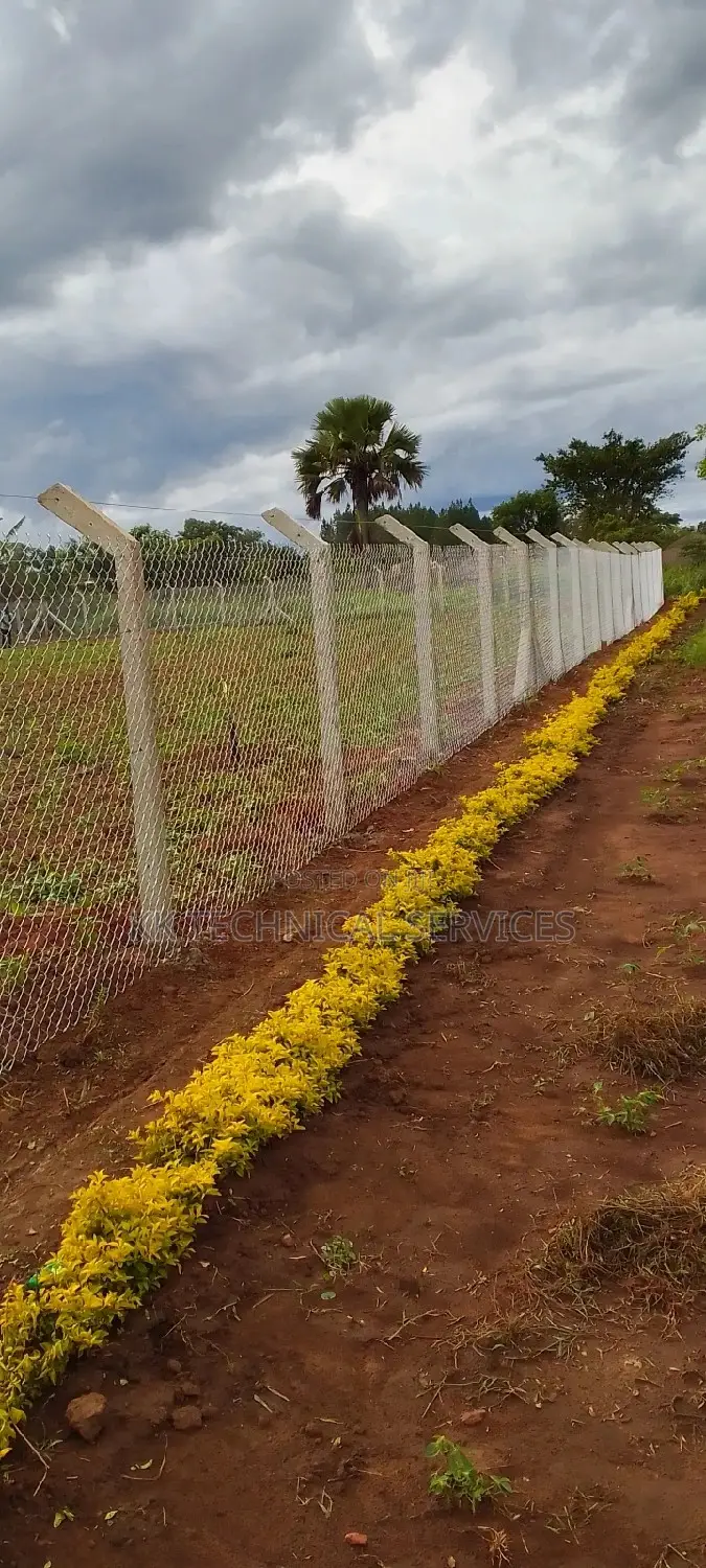 Chain Link Fence