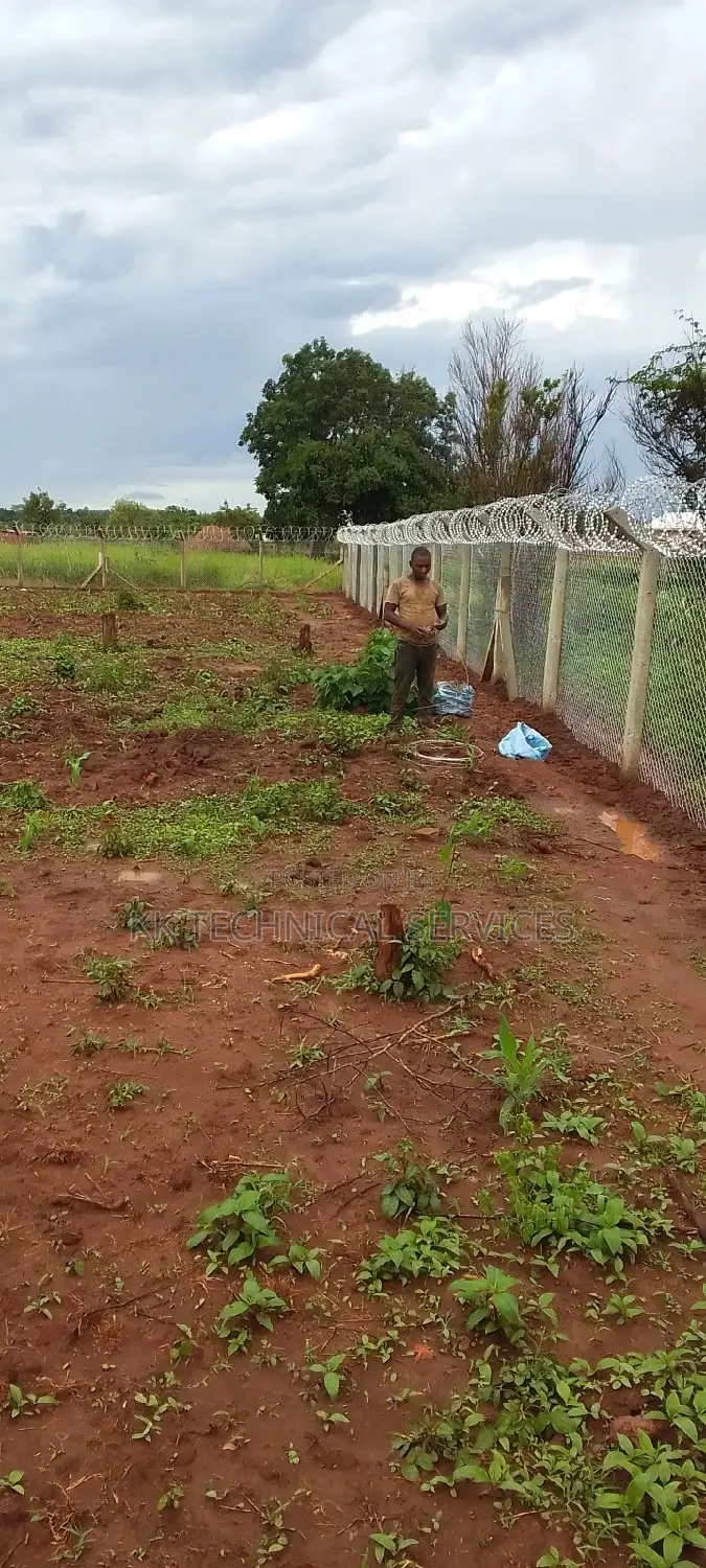 Chain Link Fence