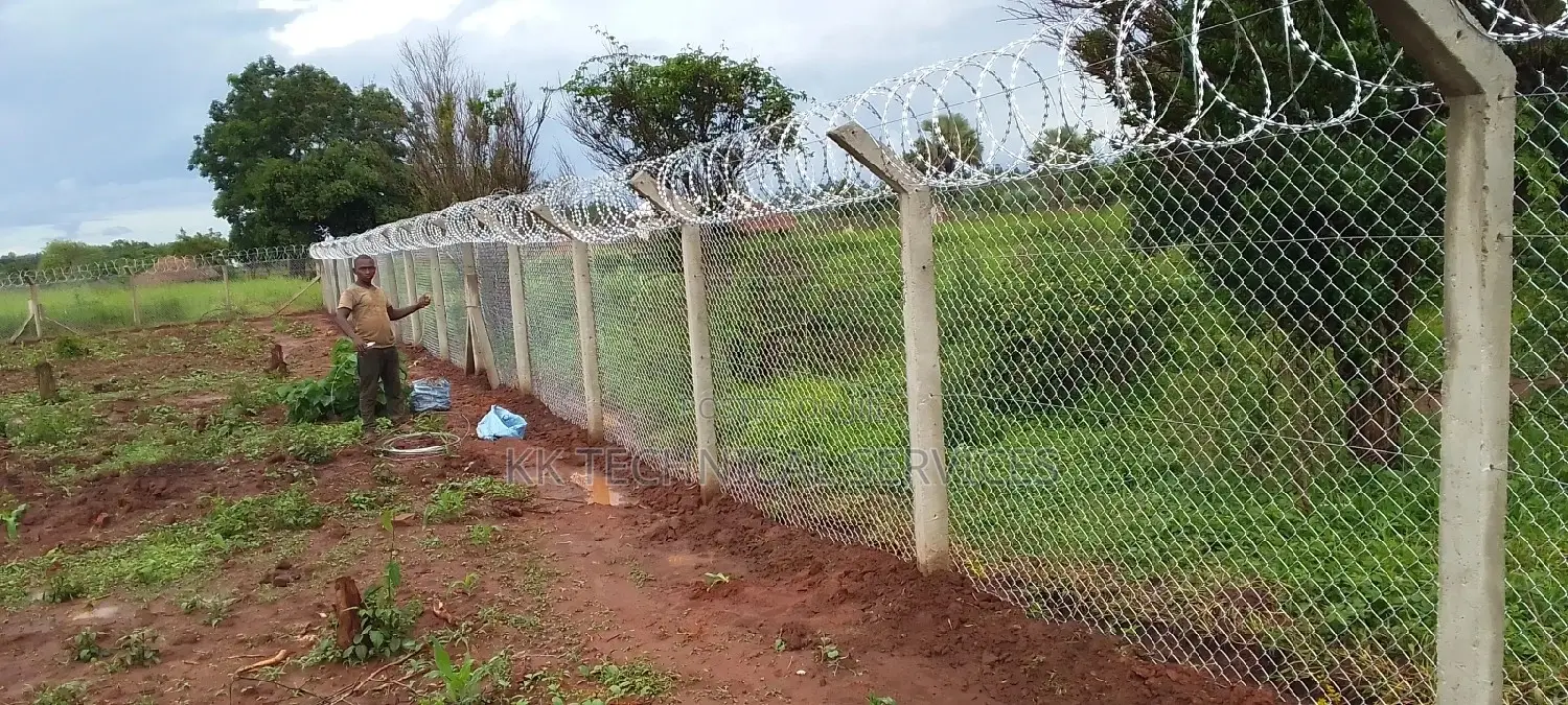 Chain Link Fence