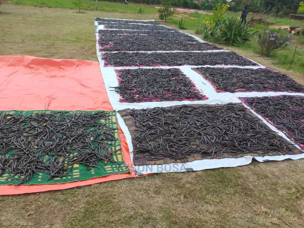 Processing Vanilla Beans Call
