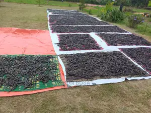 Processing Vanilla Beans Call