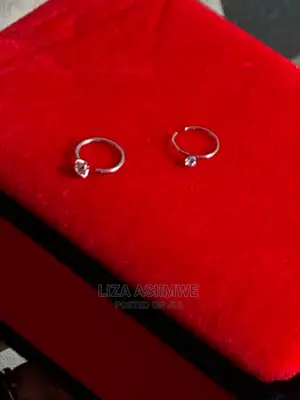 Nose Rings Available