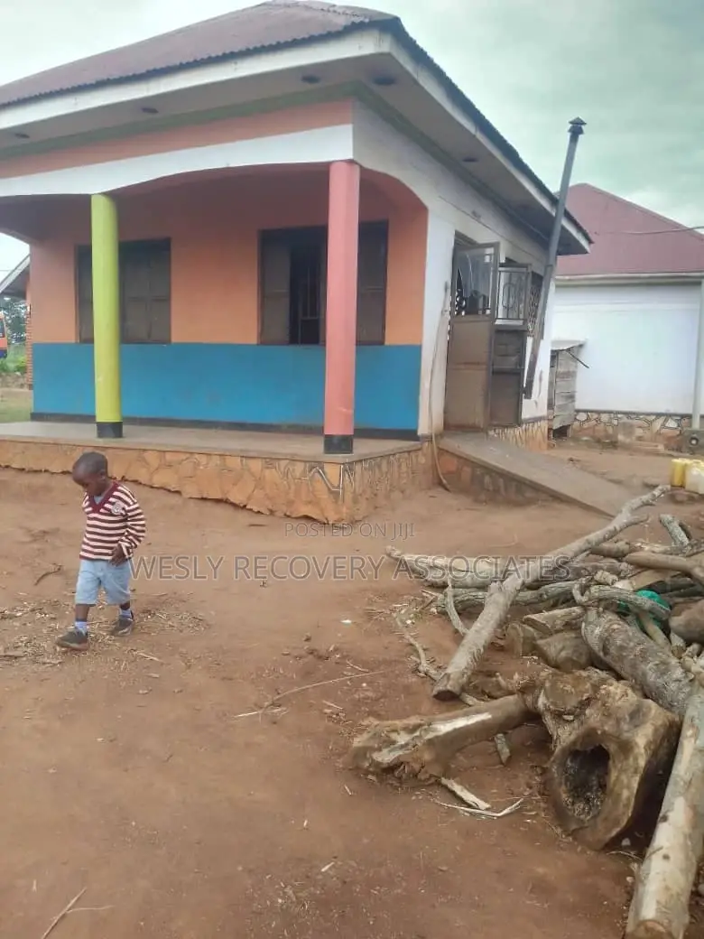 Fully Functional School on Sale