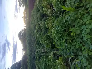 Land for Sale Located in Kagote Fort Portal City