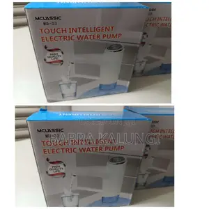 Electric Water Pump