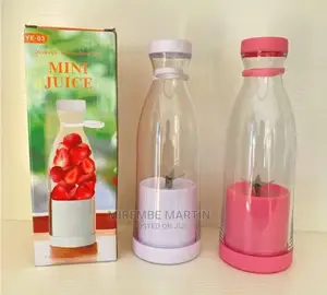 Mini Juicer
