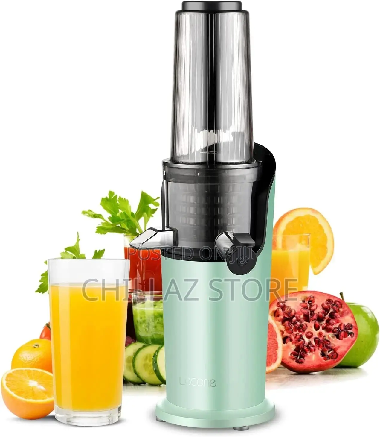 Portable Slow Juicer.