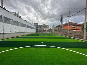 Artificial Grass Carpets