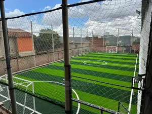 Artificial Grass Carpets