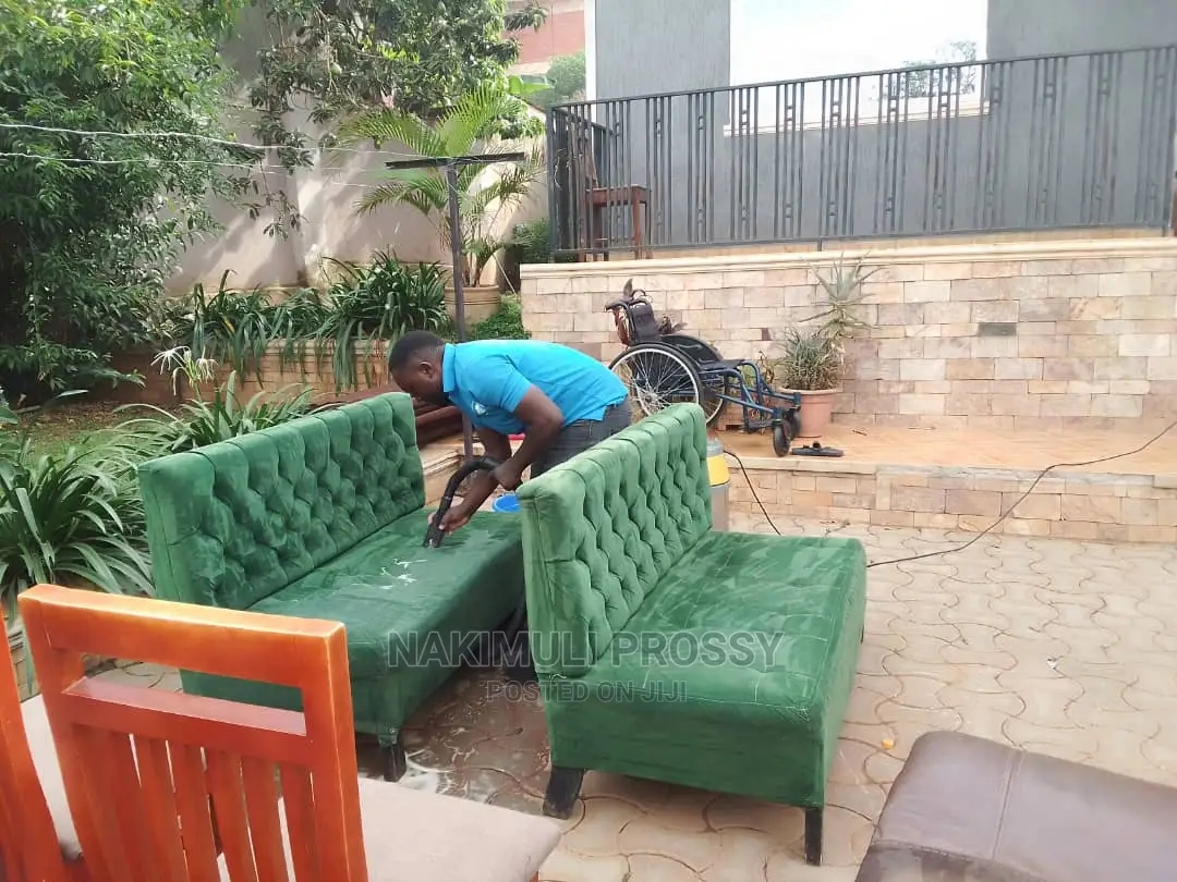 Sofa Cleaning Service in Progress
