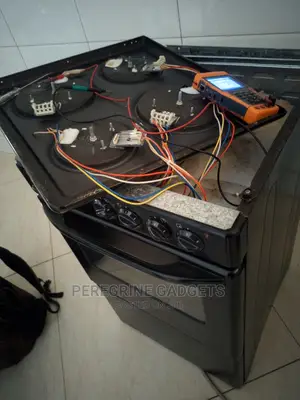 Professional Technicians in Cooker and Oven Repair.