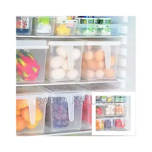 Plastic Frige Container