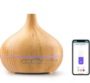 Electric Humidifier