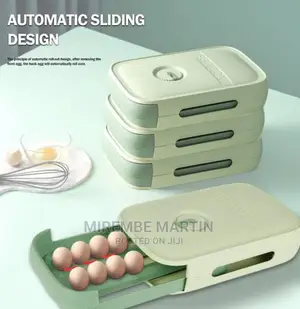 Egg Storage Box