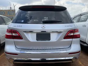Mercedes-Benz M Class 2015 Gray