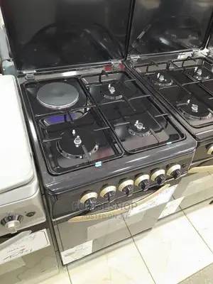 Besto 3+1 Auto-Cookers || Electro-Gas Oven [50cm×60cm]