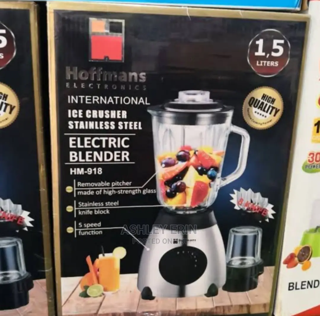 Hoffman's 2 in 1 Electric Juice Blender