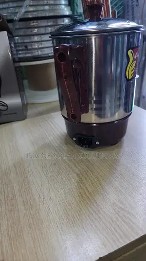 Mini Electric Boiler