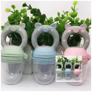 Baby Fruit Pacifier