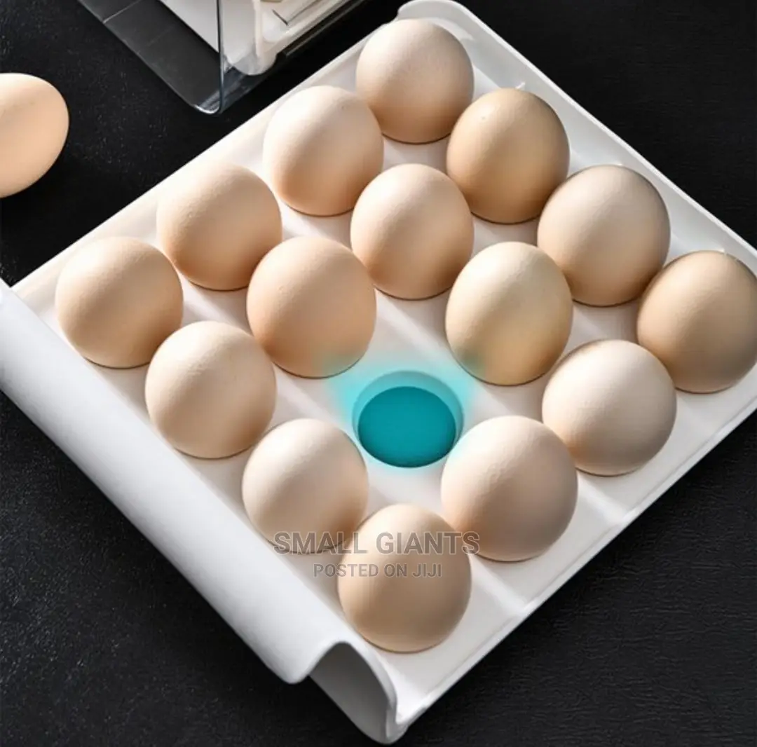32 Grid Large Capacity Egg Holder Double-Layer Storage Box