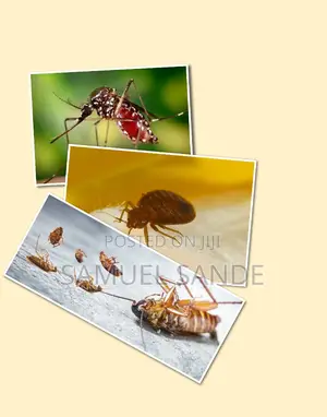 Oudorless Mosquito, Cochroaches and Bedbugs Fumigation