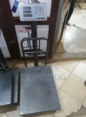 TCS Platform Weighing Scale 300kg Rechargeable