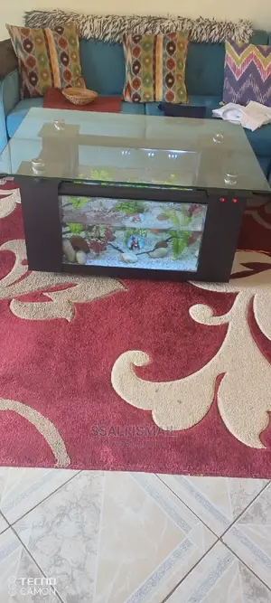 A Coffee Table Aquarium