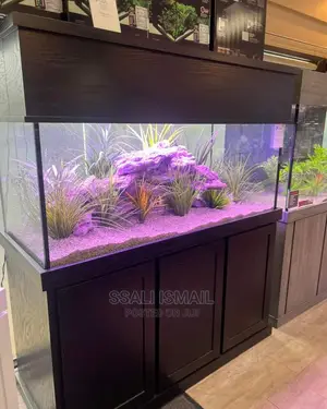 Aquarium Made in a Nice Colour