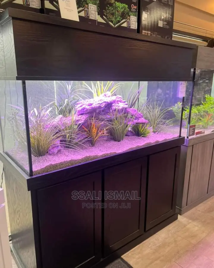 Aquarium Made in a Nice Colour