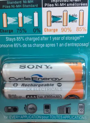 Rechargeable Batteries and Battery Charger