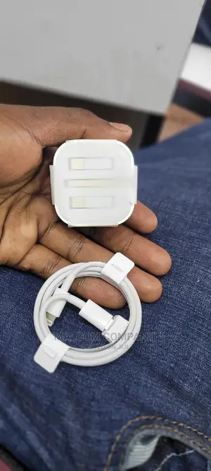 Original iPhone Charger