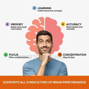 Brain Booster Supplement