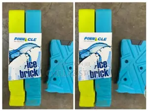2pcs Ice Packs.