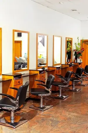 Classic Rock Modern Salon Chairs and Mirrors