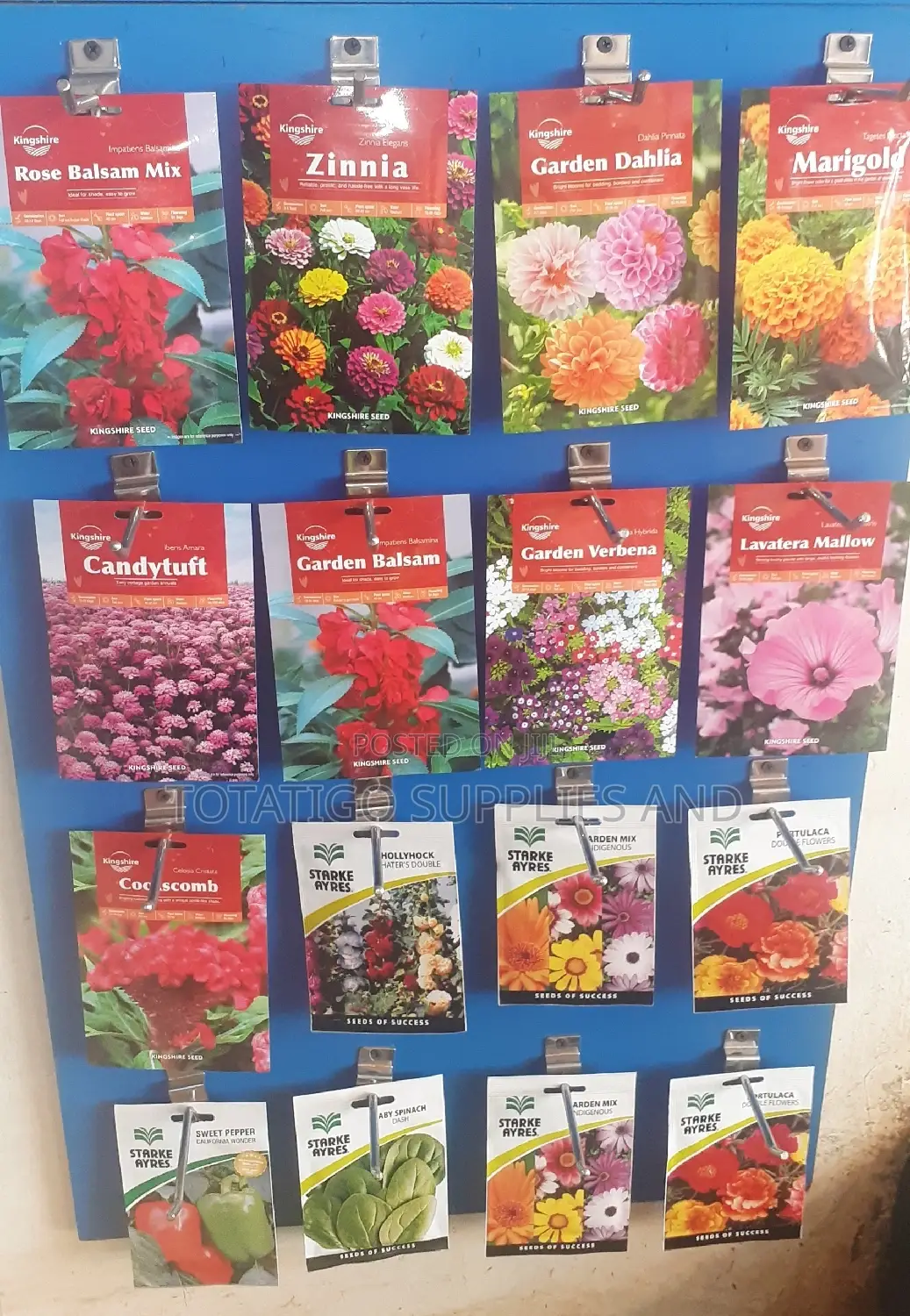 Flower Seeds Good Quality